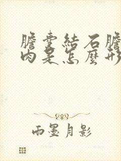 胆囊结石胆囊息肉是怎么形成的