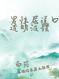 男性尿道口总有透明液体