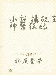 小说 摄政王的神医狂妃