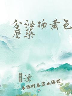 分泌物黄色用什么药