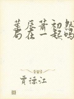 叶辰萧初然大结局在一起吗