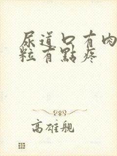 尿道口有肉小米粒有点疼