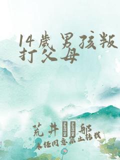14岁男孩叛逆打父母