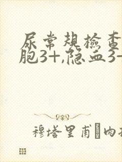 尿常规检查白细胞3+,隐血3+