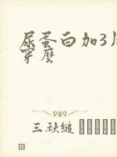 尿蛋白加3用肾穿么