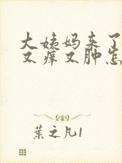 大姨妈来了下面又痒又肿怎么回事