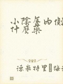 小阴唇内侧痒擦什么药