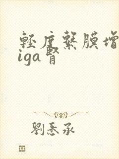 轻度系膜增生型iga肾