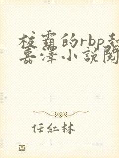 校霸的rbp封嘉泽小说阅读