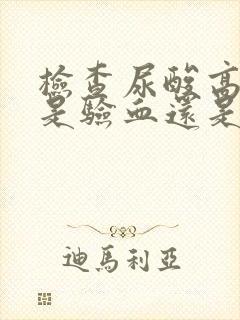 检查尿酸高不高是验血还是验尿