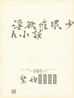 淫欲催眠少妇高h小说