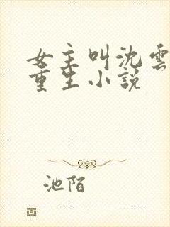 女主叫沈云卿的重生小说