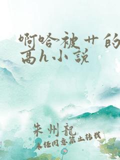 啊哈被艹的好爽高h小说