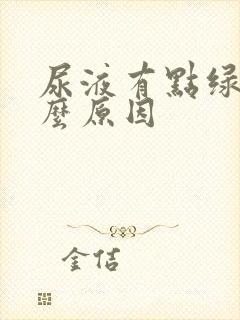 尿液有点绿是什么原因