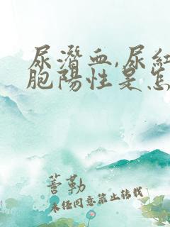 尿潜血,尿红细胞阳性是怎么回事