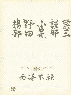 杨野小说禁裔三部曲是哪三部