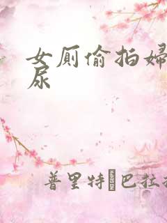 女厕偷拍妇女尿尿