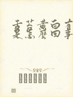 舌苔黄白有齿痕是怎么回事