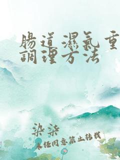 肠道湿气重怎样调理方法