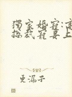 独家婚宠:高冷总裁宠妻上瘾