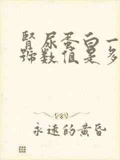 肾尿蛋白一个加号数值是多少