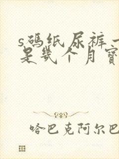 s码纸尿裤一般是几个月宝宝穿