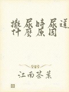 撒尿时尿道刺痛什么原因