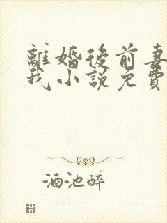 离婚后前妻仰望我小说免费阅读