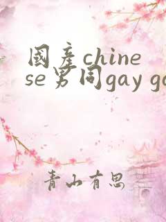 国产chinese男同gay gay
