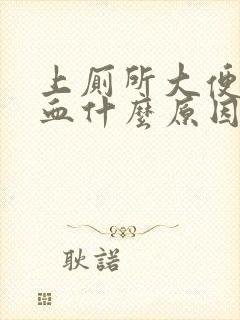 上厕所大便时出血什么原因