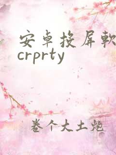 安卓投屏软件scrprty