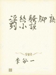 淫丝骚脚熟女系列小说