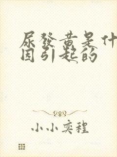 尿发黄是什么原因引起的