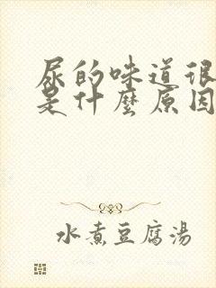 尿的味道很骚气是什么原因