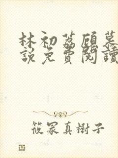 林初荔顾慕辰小说免费阅读最新章节