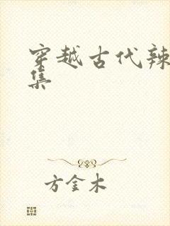 穿越古代辣文合集