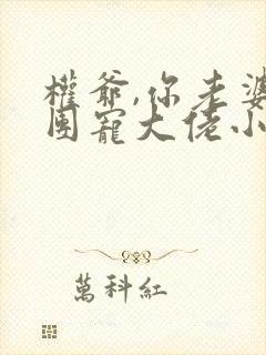 权爷,你老婆是团宠大佬小说