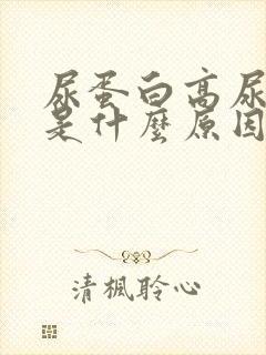 尿蛋白高尿隐血是什么原因造成的