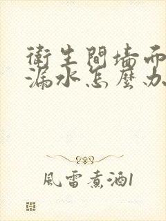 卫生间墙面的砖漏水怎么办