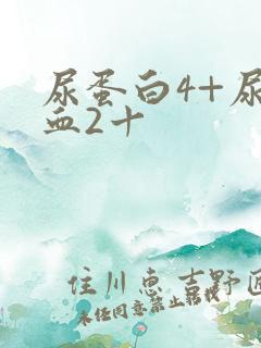 尿蛋白4+尿潜血2十