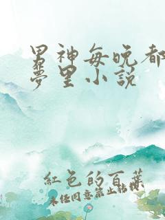 男神每晚都到我梦里小说