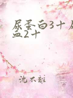 尿蛋白3十尿隐血2十