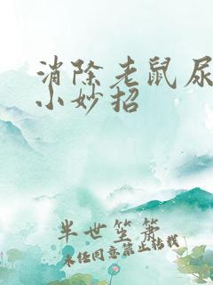 消除老鼠尿骚味小妙招