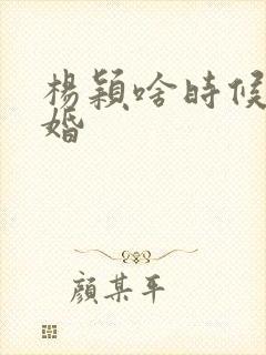 杨颖啥时候结的婚