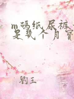 m码纸尿裤一般是几个月宝宝穿