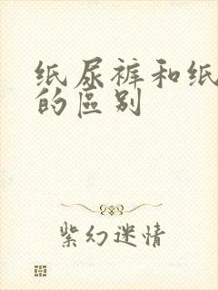 纸尿裤和纸尿片的区别