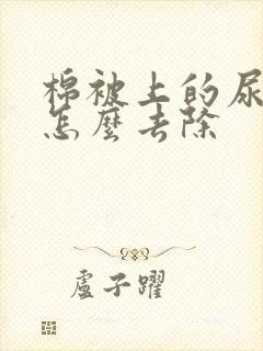 棉被上的尿骚味怎么去除