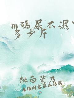 m码尿不湿穿到多少斤