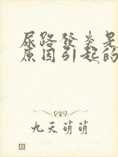 尿路发炎是什么原因引起的