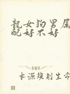 龙女狗男属相婚配好不好